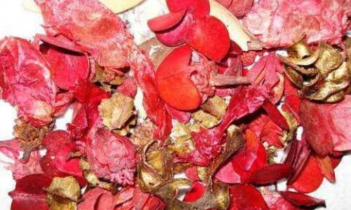 Zelišča za telo in dušo