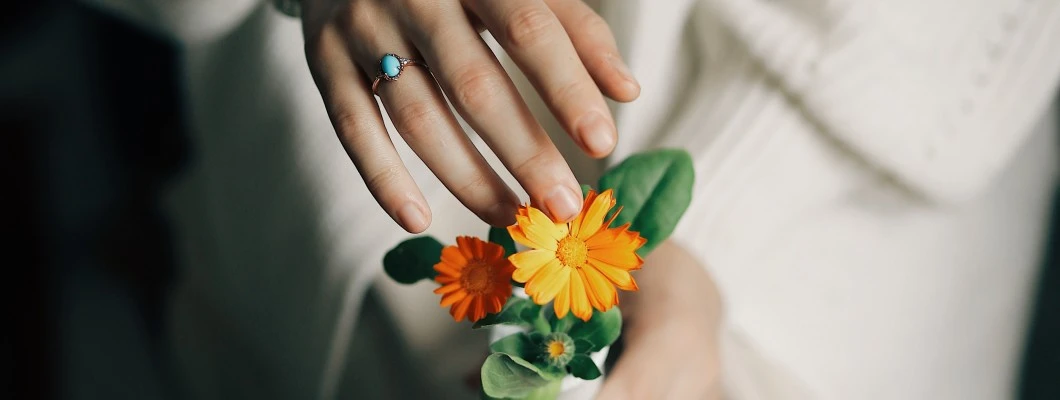 Ognjič (Calendula officinalis): Pričarajte si sončno čarobnost kar doma