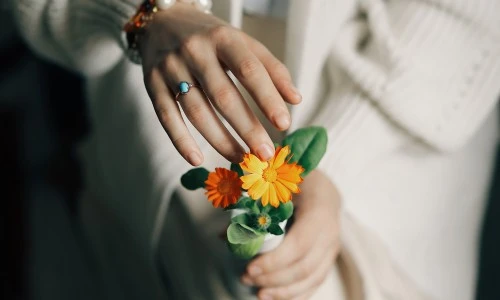 Ognjič (Calendula officinalis): Pričarajte si sončno čarobnost kar doma