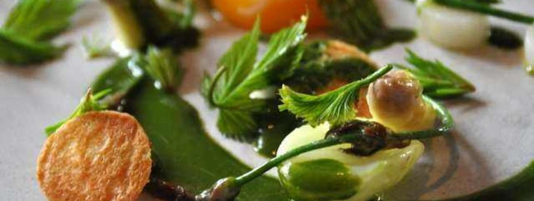 Katera so najpogosteje uporabljana zelišča