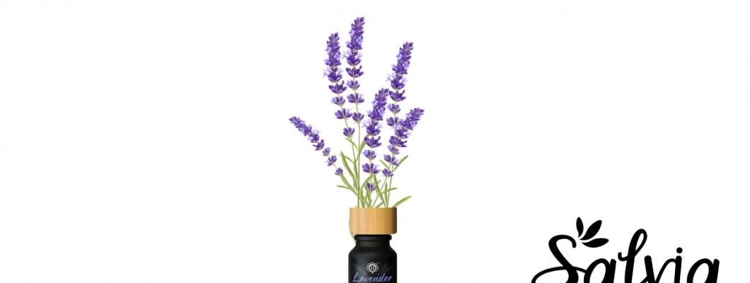 Nagradna igra Prelepa sivka