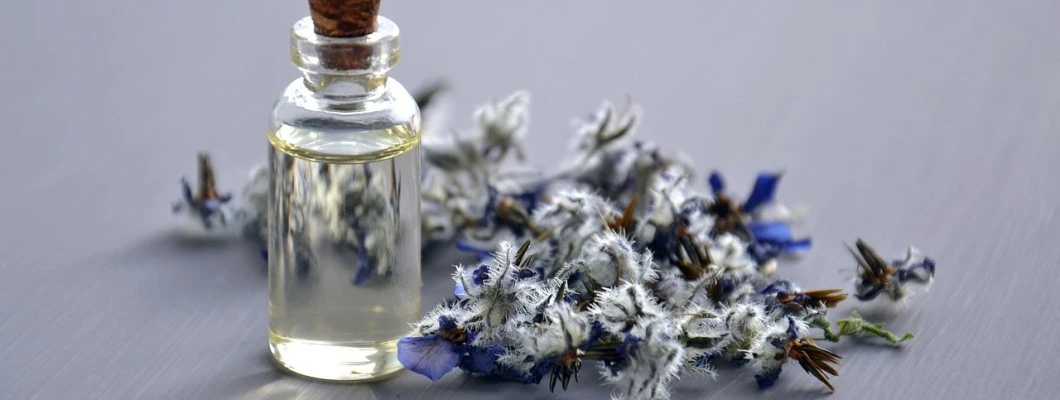 Tinkture in kisovi izvlečki: pripravki na alkoholni osnovi