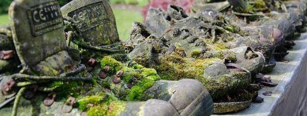 Opravila na vrtu pozno poleti in pozimi