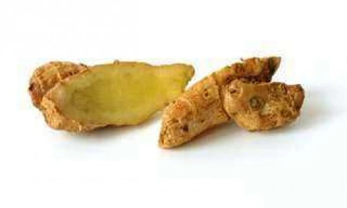 Galgant ali začimba življenja