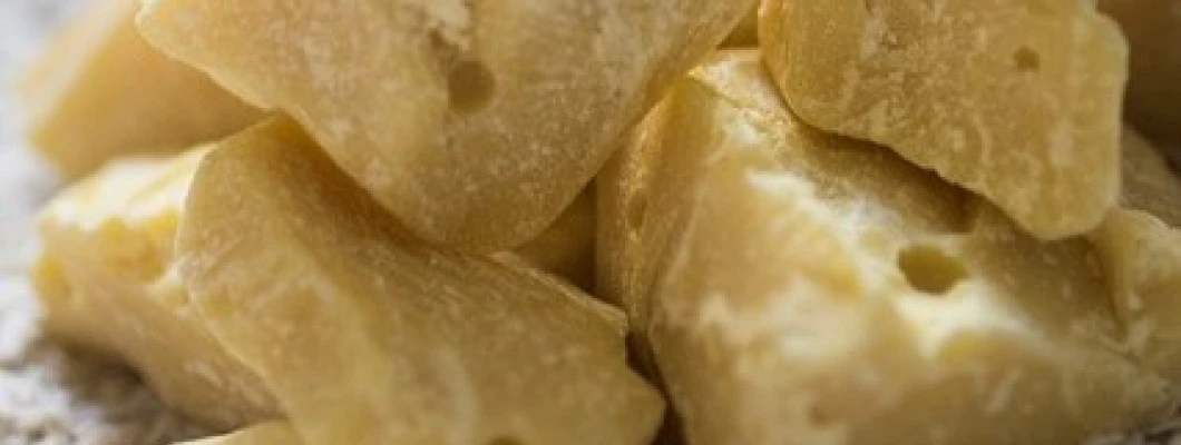 Naravna masla: Dar narave za vašo kožo in izdelke Salvia