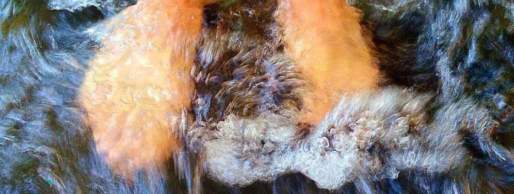 Kako lahko ublažite probleme s krčnimi žilami