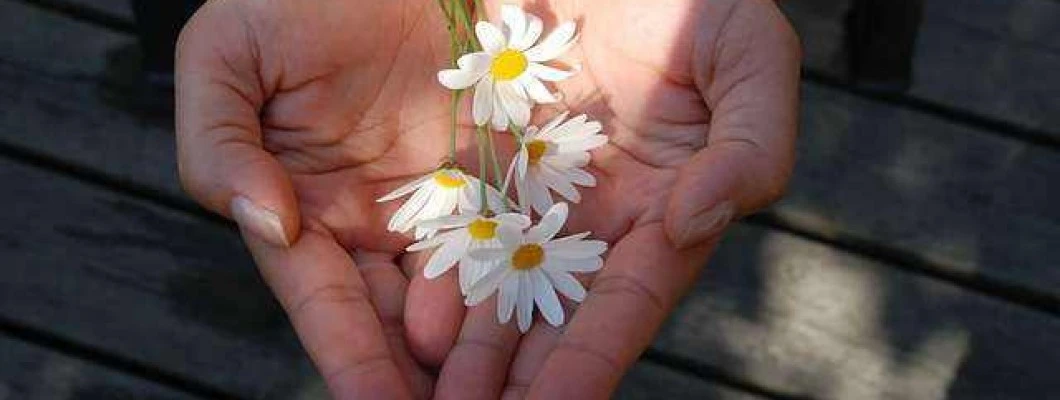 Naravna nega suhih rok