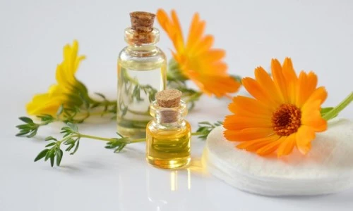 Vodnik za pripravo nosilnih zeliščnih olj v naravni kozmetiki