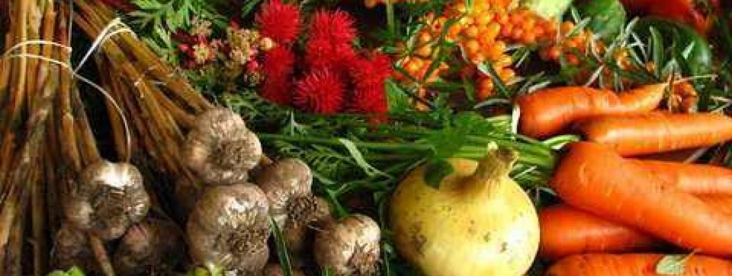 Sezona posameznih sort sadja in zelenjave