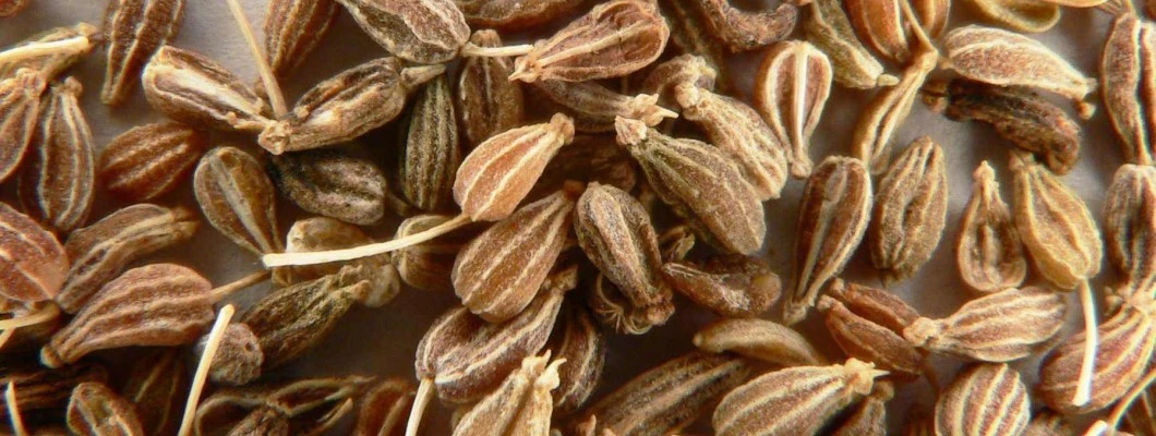 Sladkasta aroma janeža skrbi za dober okus in vaše zdravje