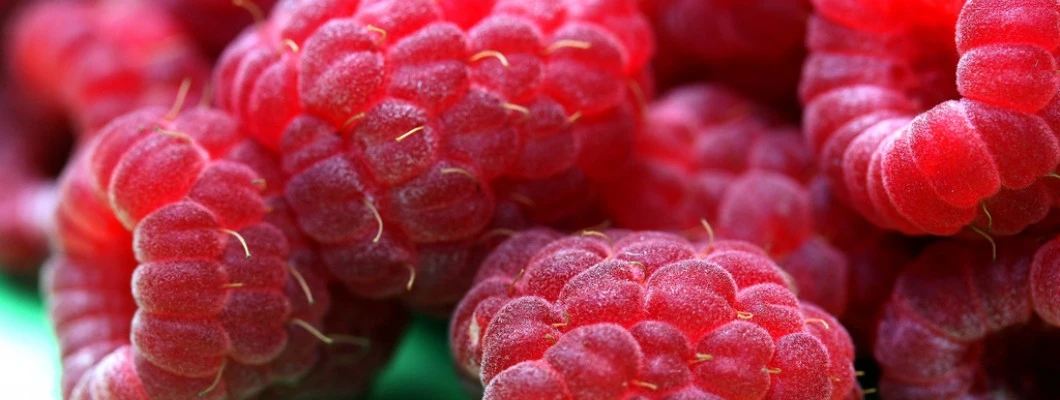 Kako pripraviti masko za obraz iz malin in medu