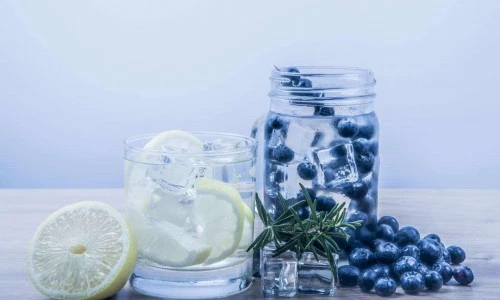 Kako pripraviti borovničevo žganje