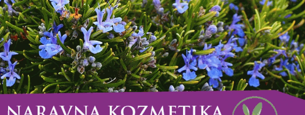 Naravna kozmetika - ananasov piling, čistilna krema, obkladki  in sijoči lasje