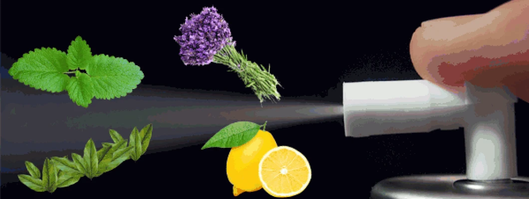 Naravna čistila z zelišči