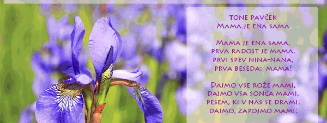 Čestitke in popust ob materinskem dnevu