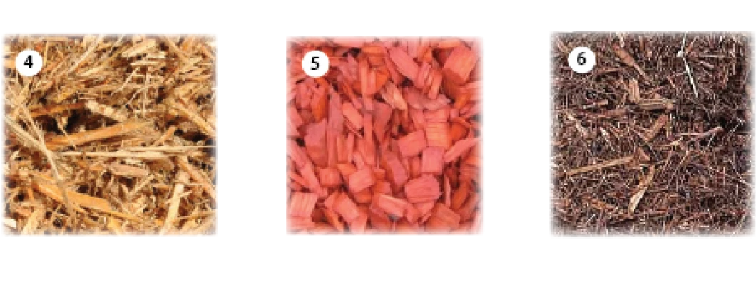 Zastirka izboljša in polepša gredo