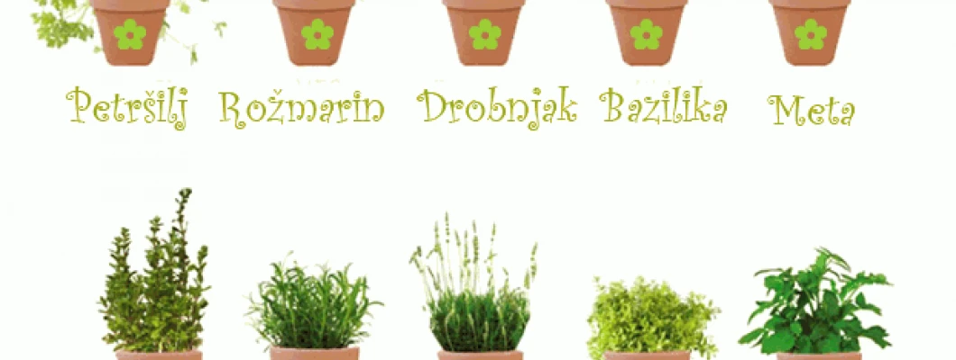 Zelišča in začimbe z okenske police