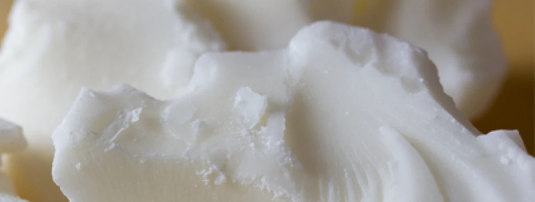 Spoznajte naravna masla in njihovo uporabo v kozmetiki