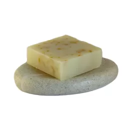 NARAVNO MILO Z OGNJIČEM